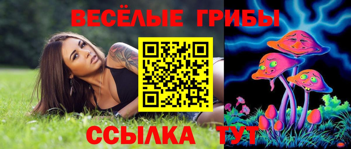 Псилоцибиновые грибы мицелий  Псилоцибиновые грибы Psilocybe  Вход с VPN  Нефтекамск 